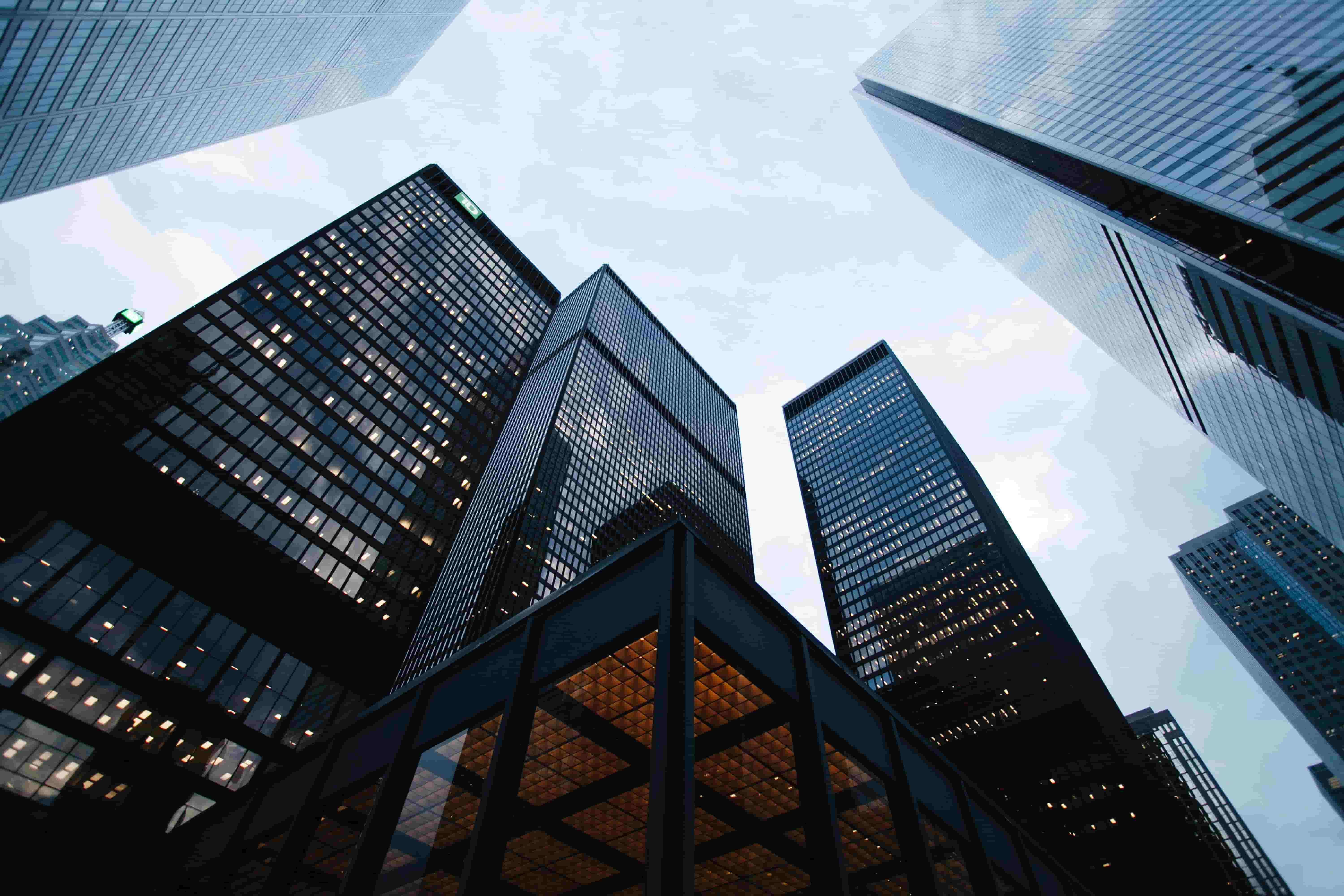 high buildings facing the sky